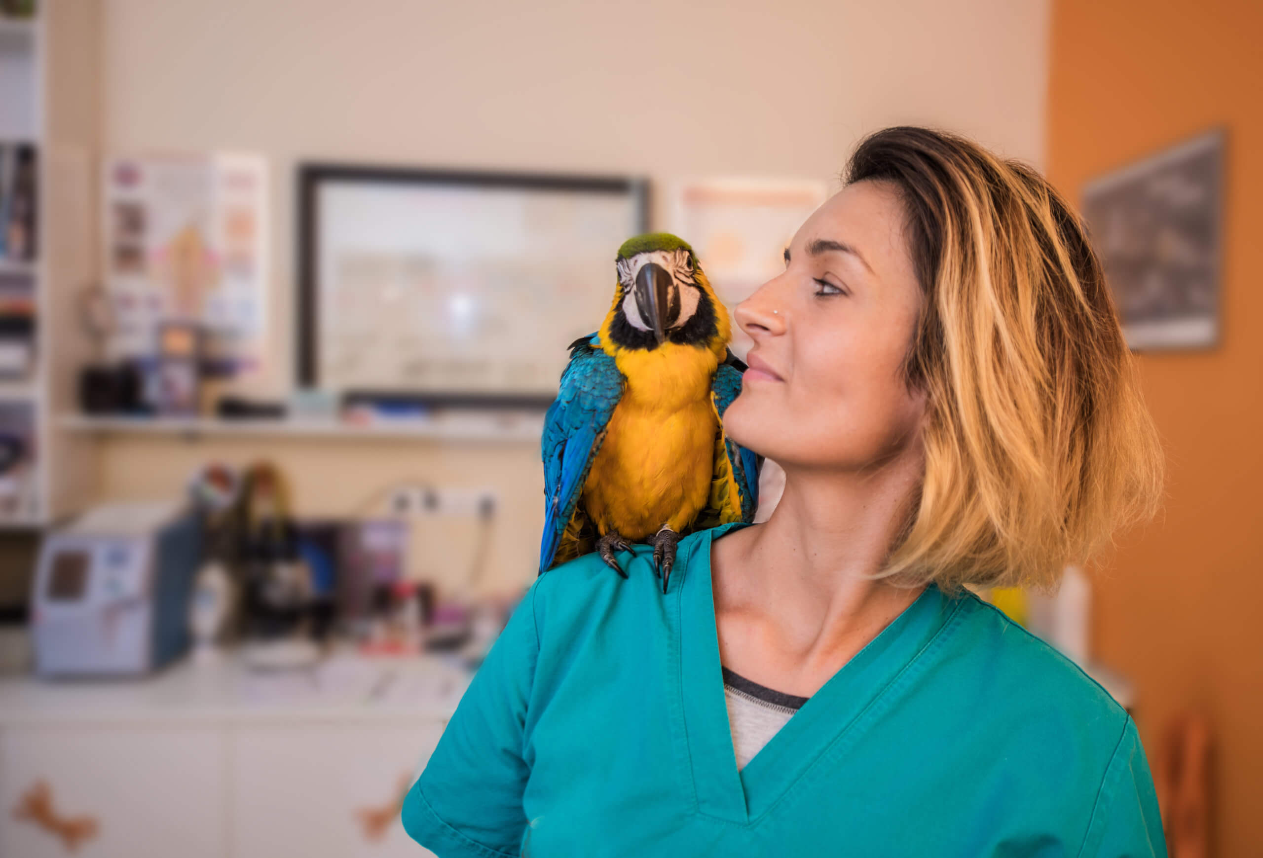 Woman and her parrot in an office.