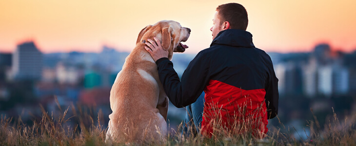 a man sitting on a grass field with his dog