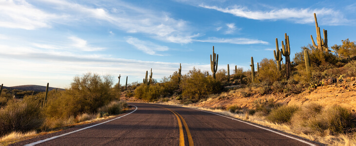 Paved desert road in Surprise, Arizona with cacti on the sides